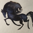 cavallini